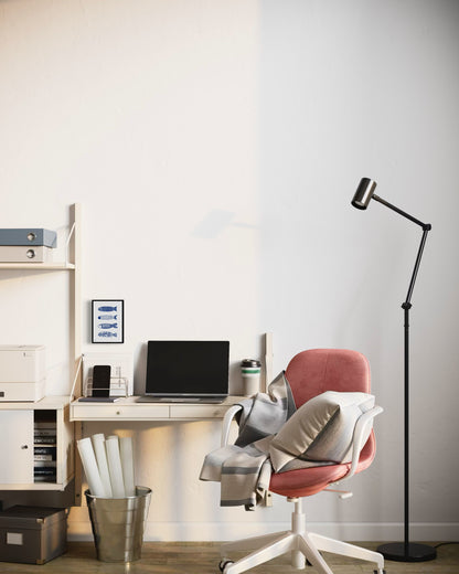 דגים כחולים