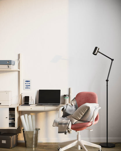 דגים כחולים