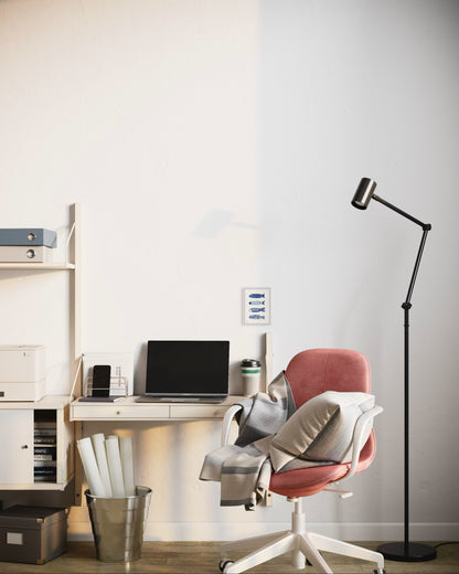 דגים כחולים