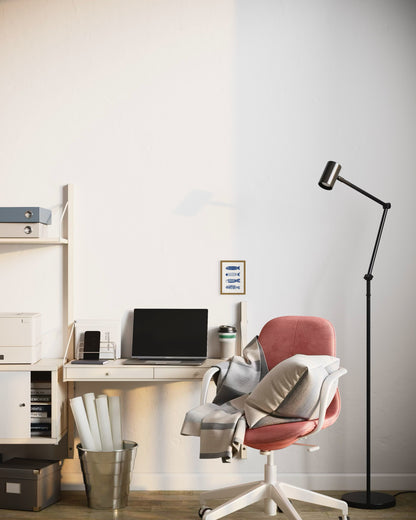 דגים כחולים